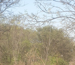 Bishop Bird Park photo