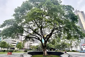 Raintree Plaza TRX image
