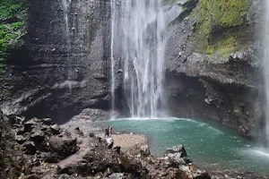 Madakaripura Waterfall image