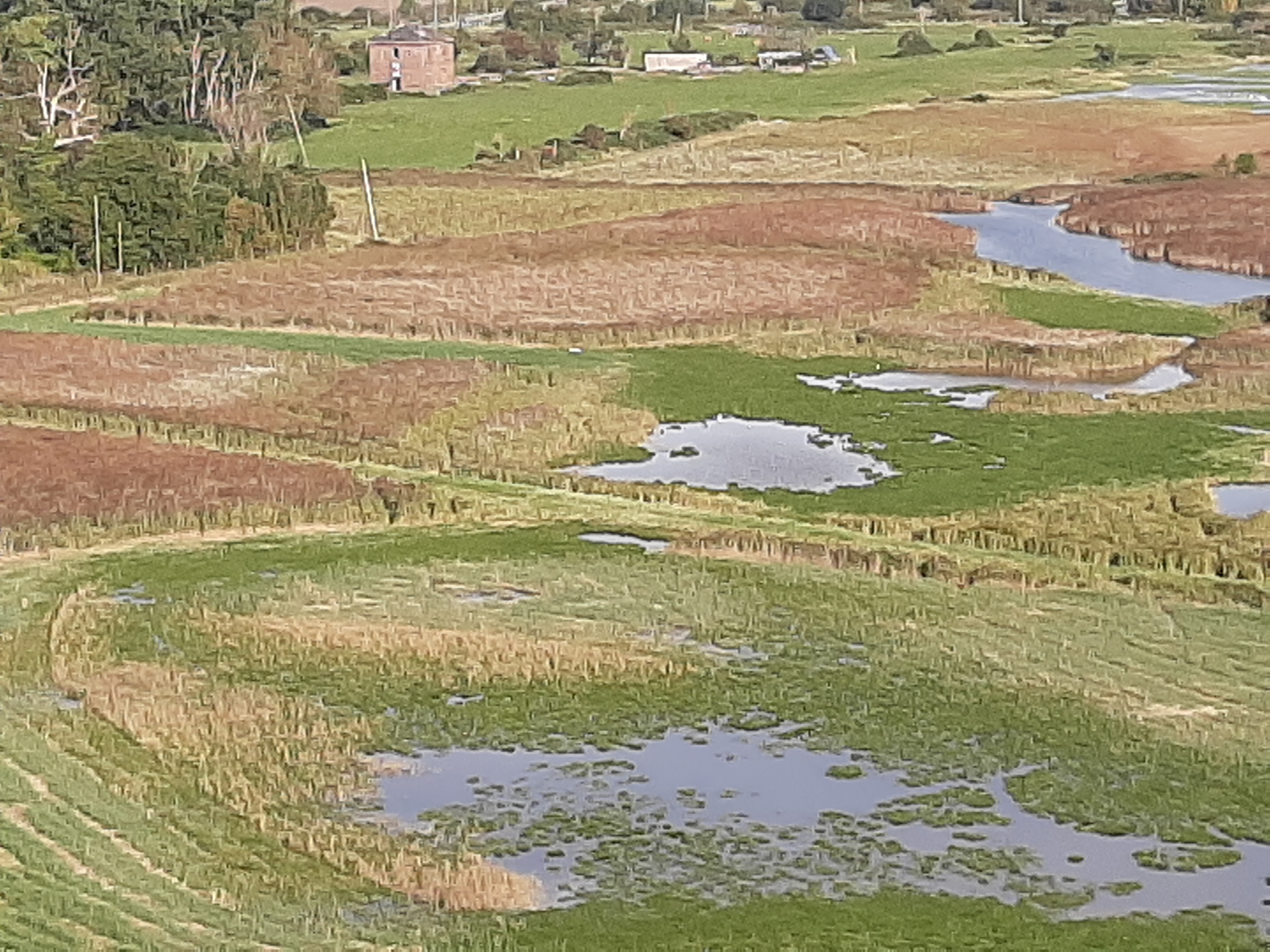 Photo n° 1 de l'avis de Patrice.a fait le 29/09/2020 à 19:02