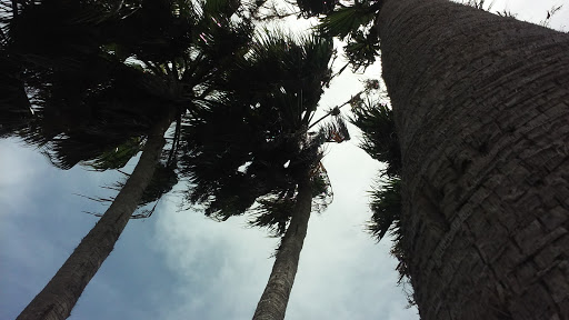 Country Club «Rancho Viejo Resort & Country Club», reviews and photos, 1 Rancho Viejo Dr, Rancho Viejo, TX 78575, USA