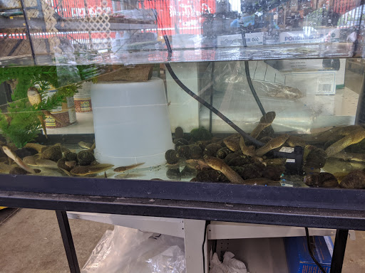 Hardware Store «Hampton Do It Best Home Center», reviews and photos, 4706 PA-8, Allison Park, PA 15101, USA