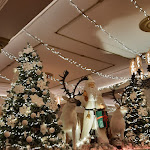 Photo n°2 de l'avis de Harald.c fait le 13/12/2022 à 19:03 sur le  Zum Breiten Herd à Erfurt