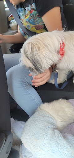 Pet Supply Store «PetSmart», reviews and photos, 271 New Rd, Somers Point, NJ 08244, USA