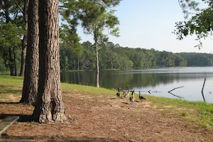 Payne Lake image
