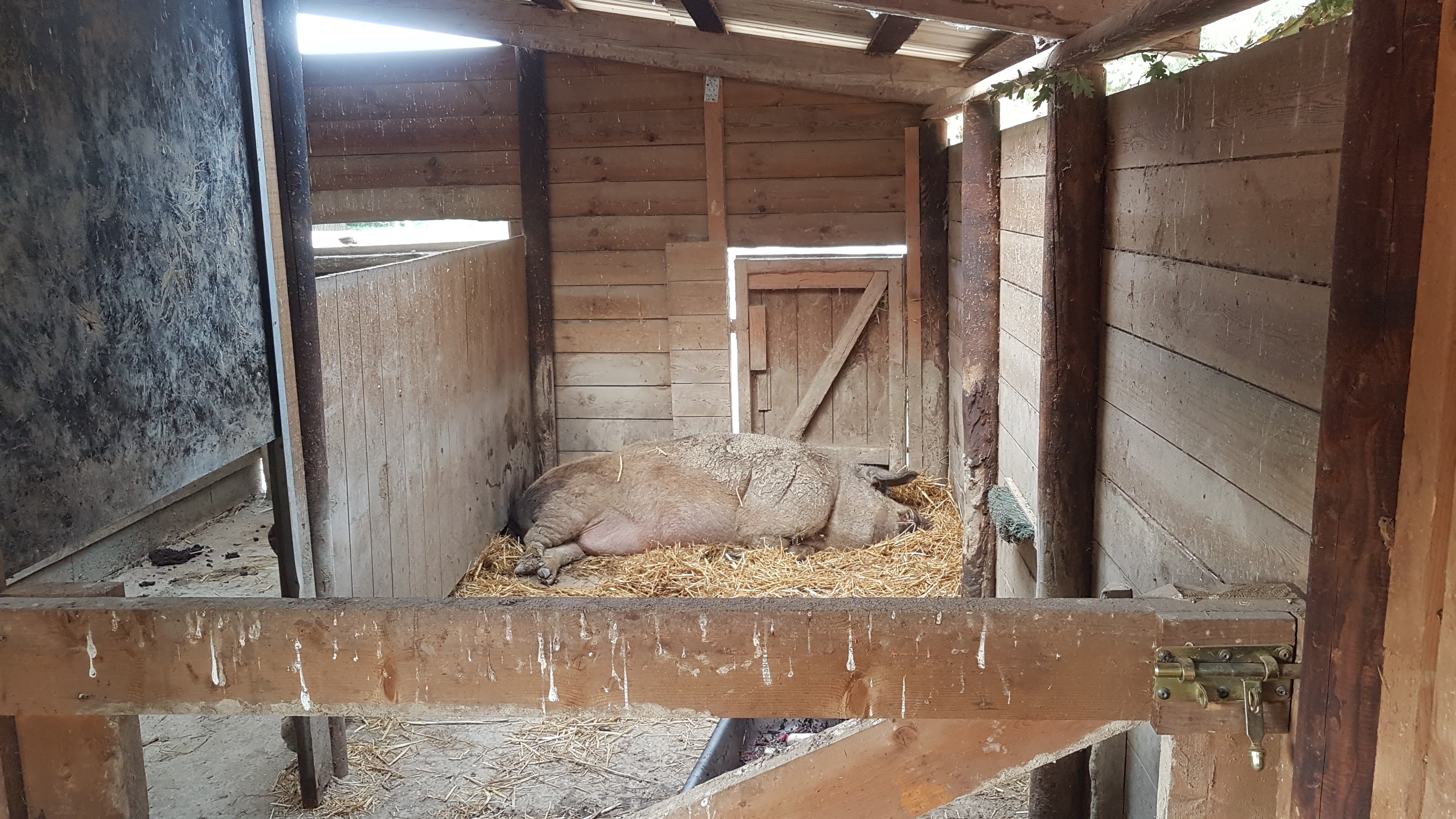 Photo n° 16 de l'avis de Véronique.O fait le 02/09/2022 à 03:37