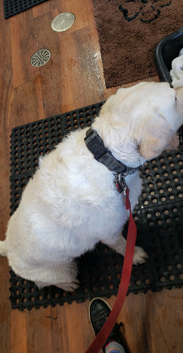 Pet Store «Pet Valu», reviews and photos, 73 Highland Ave A, East Providence, RI 02914, USA