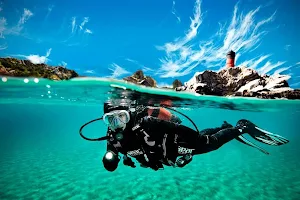 Gill Divers image