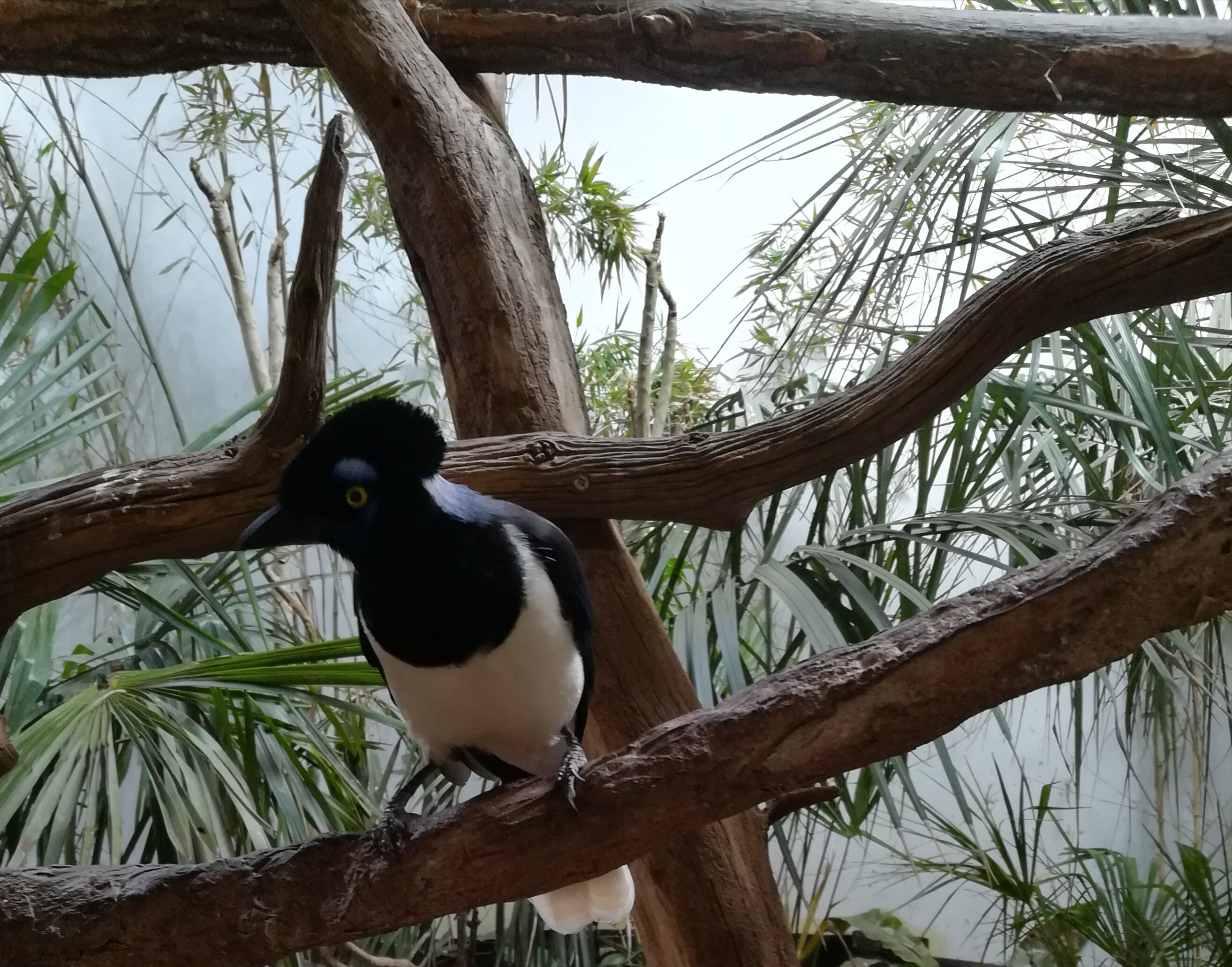 Photo n° 3 de l'avis de Sarah.L fait le 21/04/2018 à 18:44