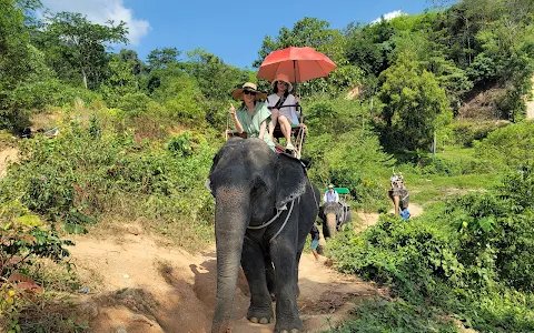 Phuket Kathu Elephant Sanctuary image