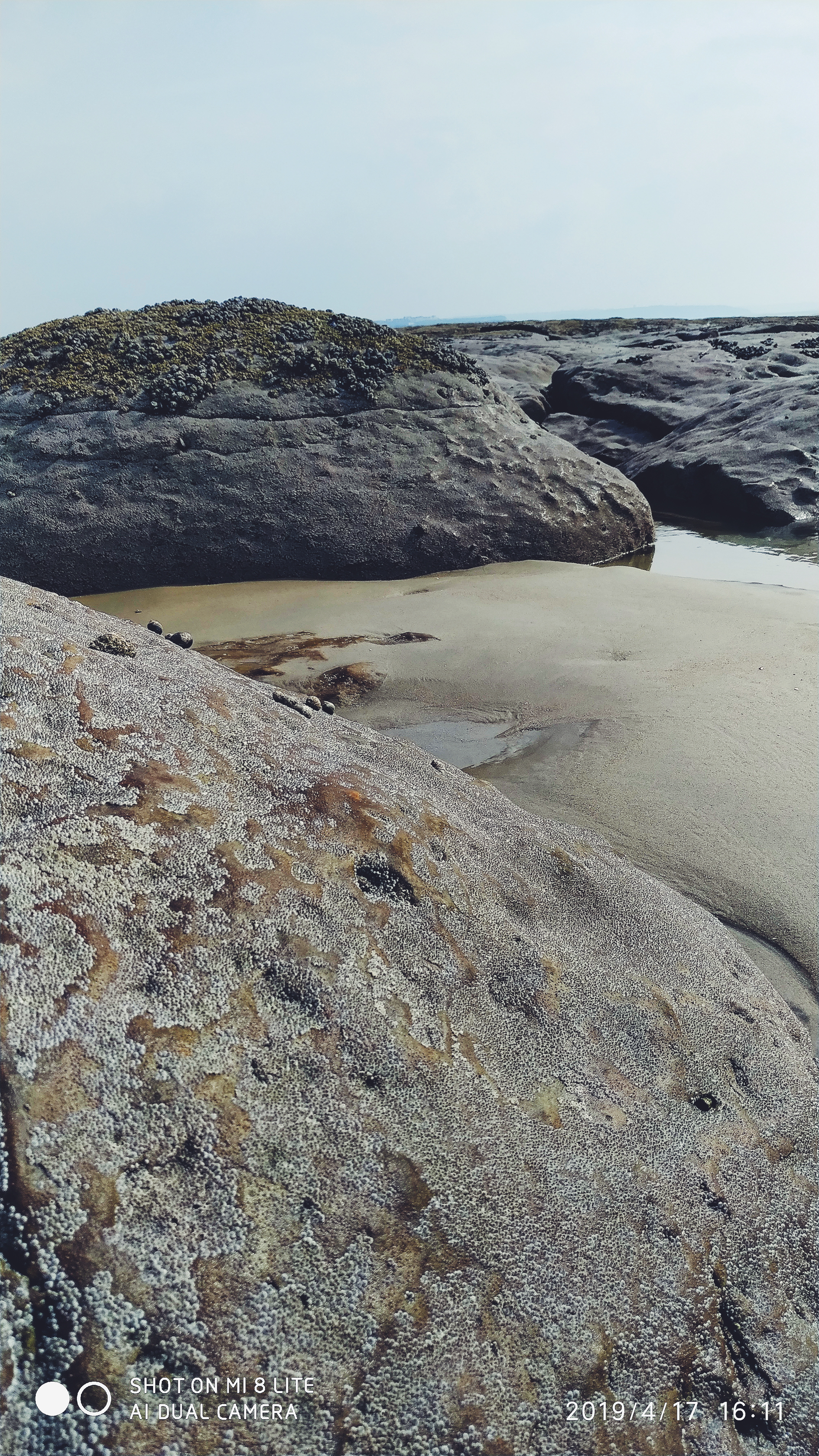 Photo n° 2 de l'avis de LoLo.a fait le 23/04/2019 à 11:48