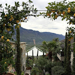 Photo n°2 de l'avis de Reinhold.� fait le 02/05/2023 à 12:14 sur le  Panorama-Restaurant Leitenschenke à Tscherms