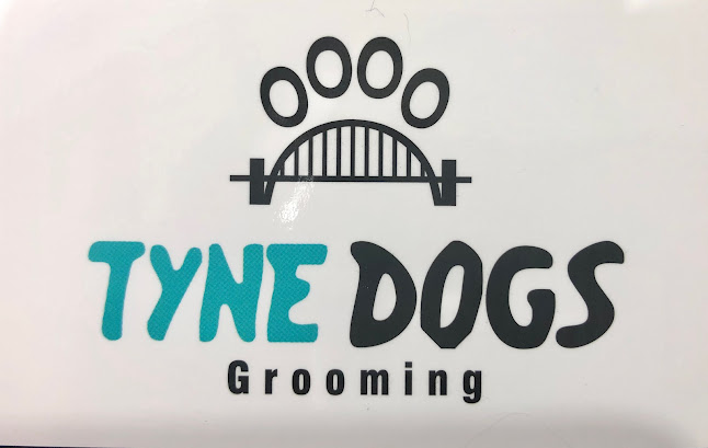 Tyne Dogs Grooming - Dog trainer