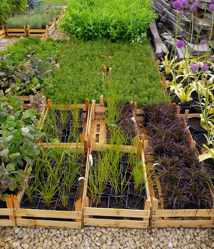 Opinii despre Jawgarden în Oświęcim - Ogrodnik