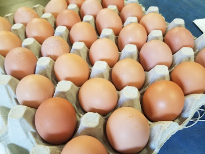 Galey Morning Fresh Eggs