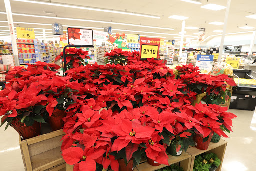 Grocery Store «Food Lion», reviews and photos, 794 Shopping Center Rd, Strasburg, VA 22657, USA