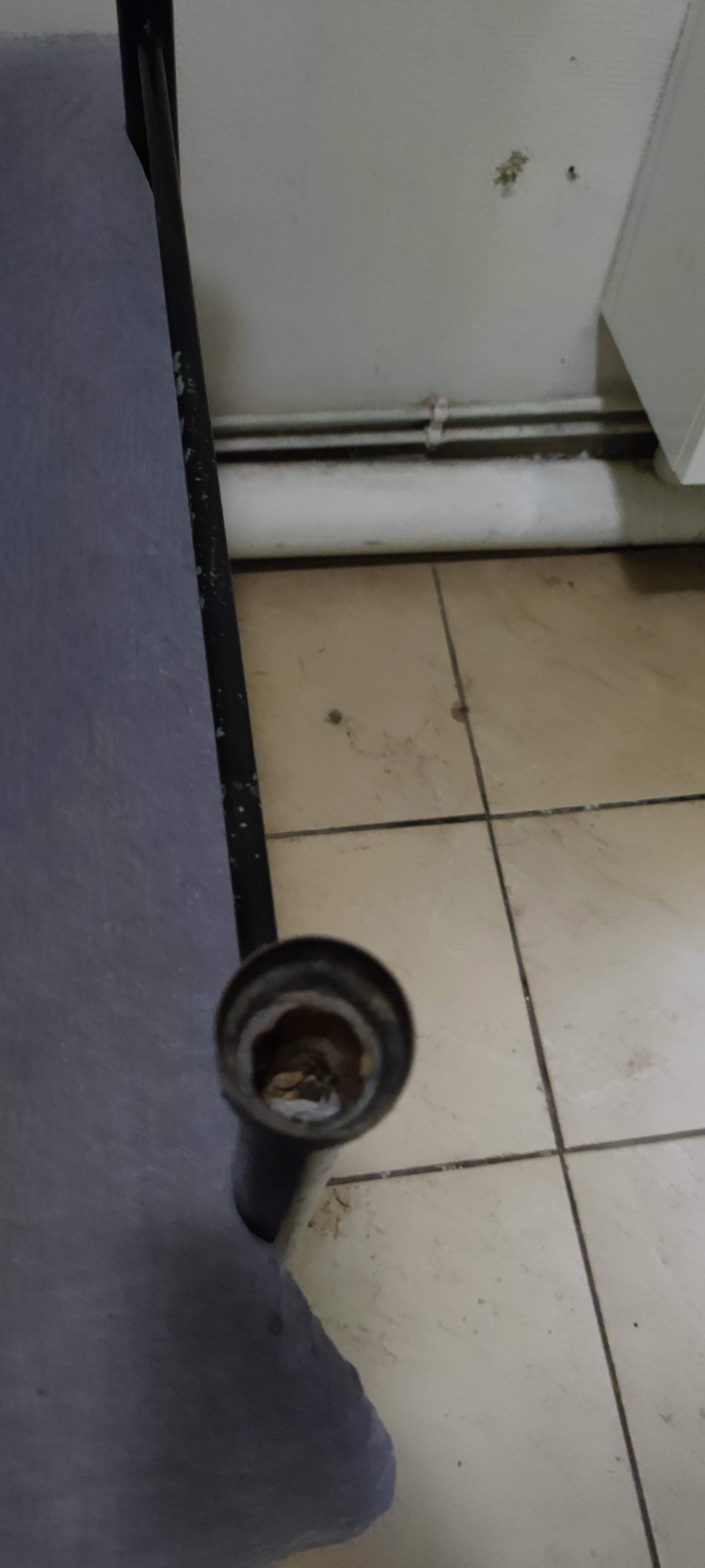 Photo n° 3 de l'avis de Rafael.a fait le 19/07/2021 à 21:35