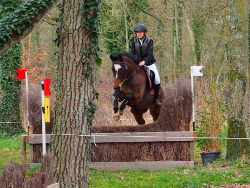 Haras L Fief à Ombrée d'Anjou