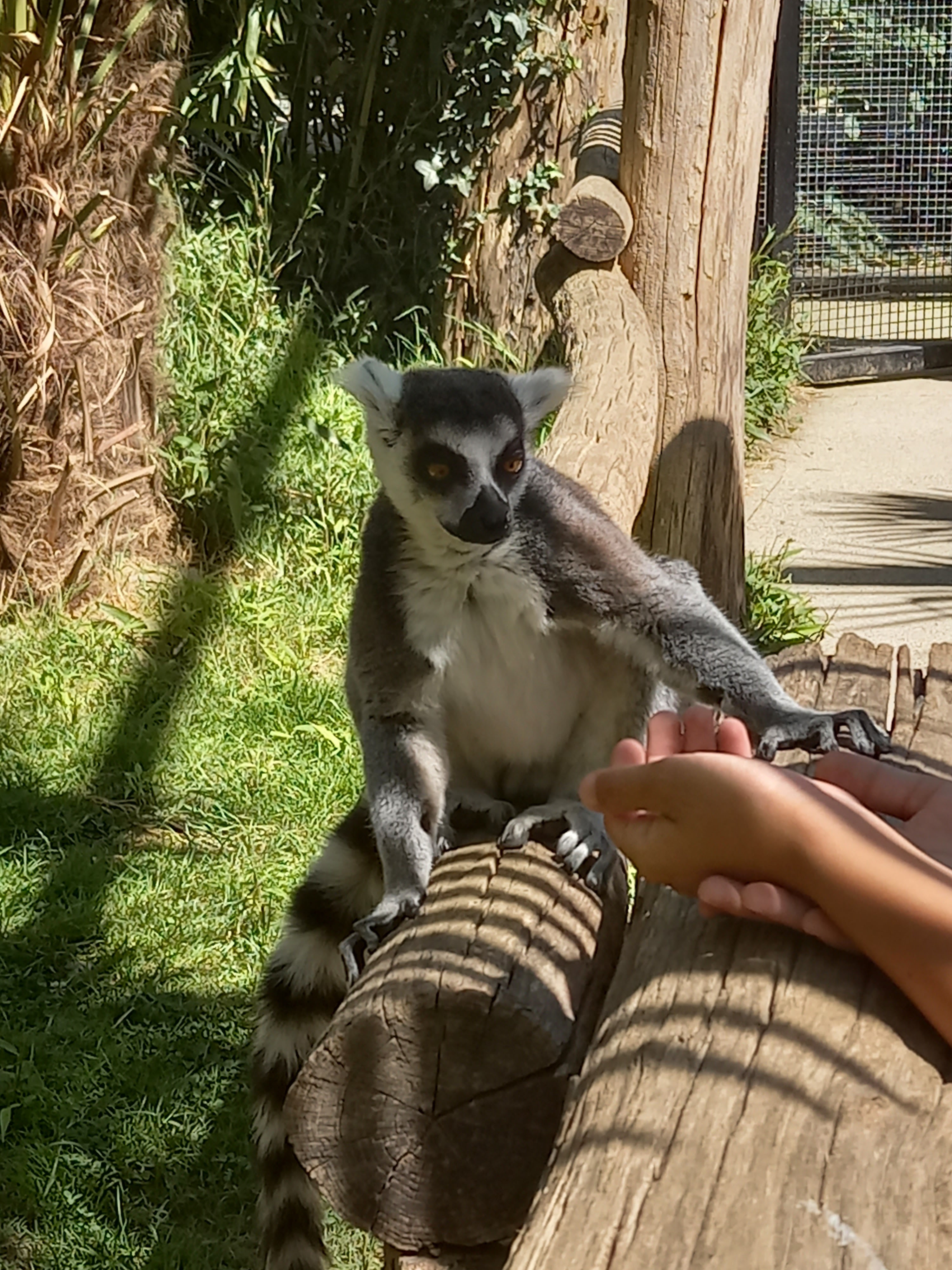 Photo n° 4 de l'avis de Virginie.r fait le 19/08/2023 à 19:08