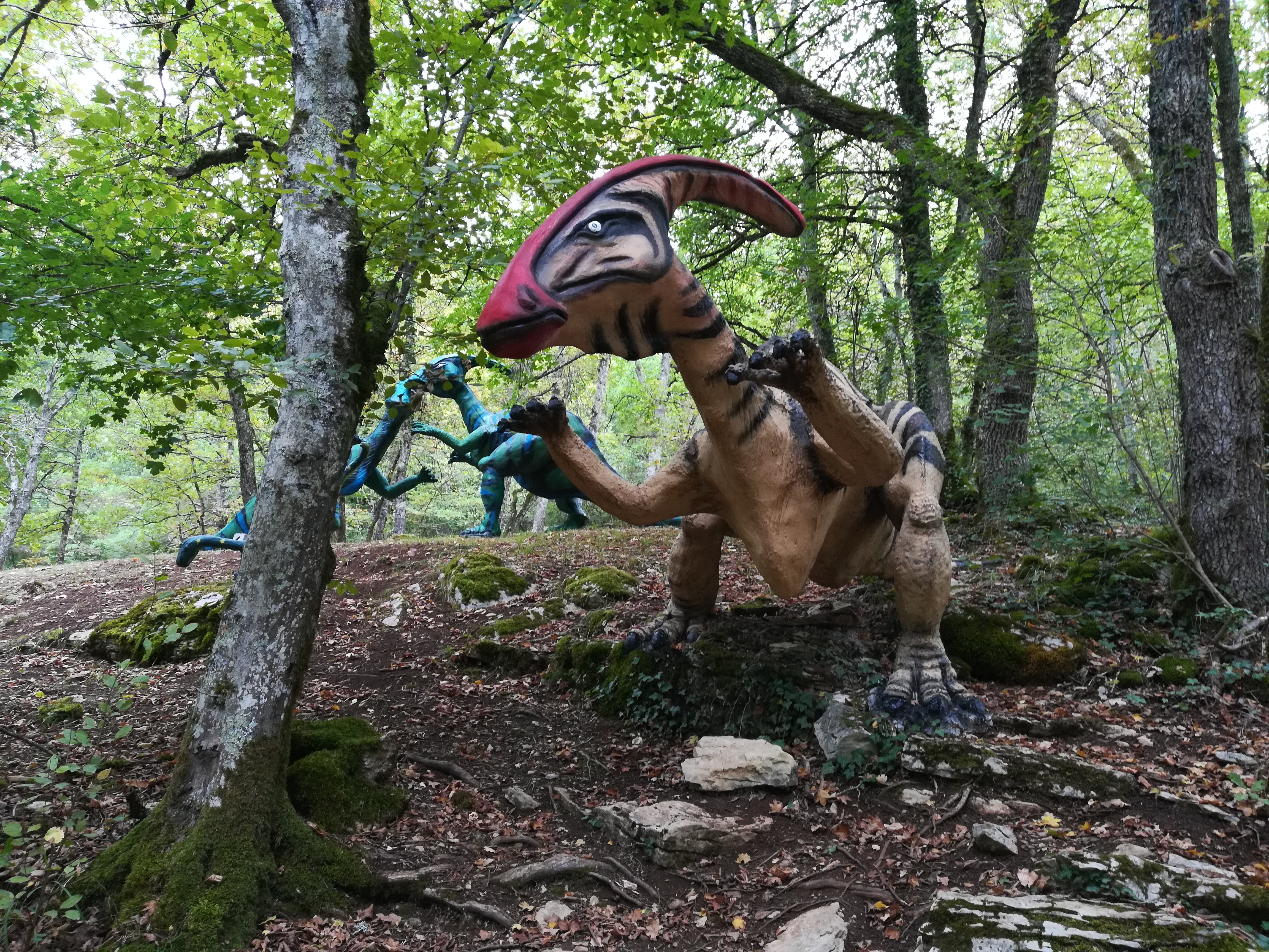 Photo n° 12 de l'avis de JACQUES.a fait le 30/09/2019 à 19:19