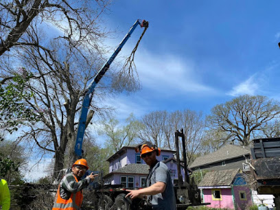 Wigginton Tree Service