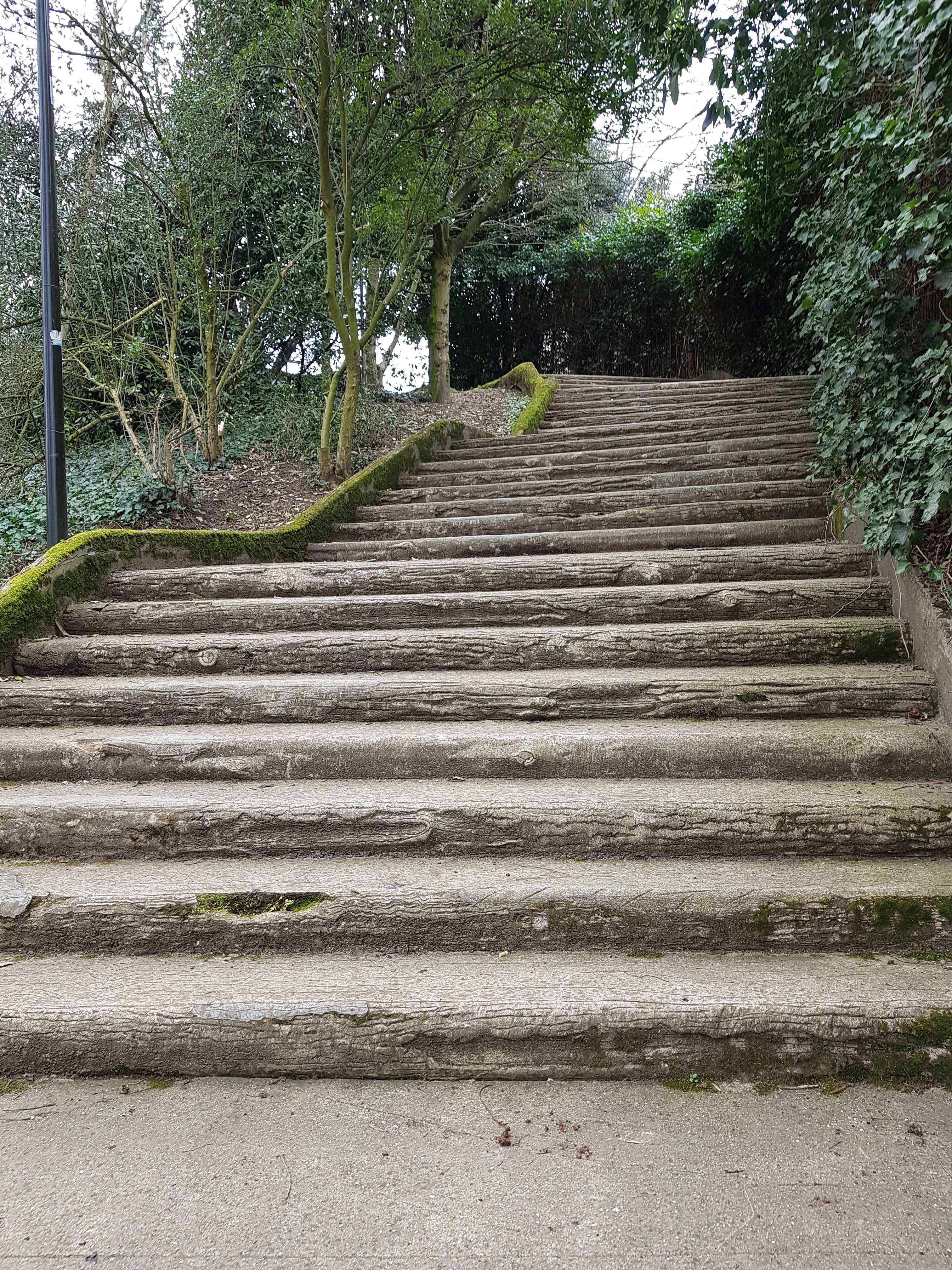 Photo n° 1 de l'avis de A. fait le 03/04/2018 à 15:54