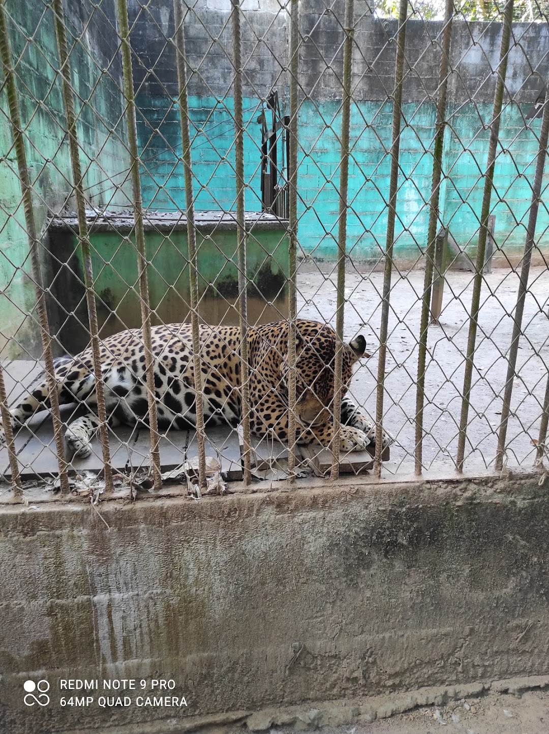 Zoologico El Jaguar