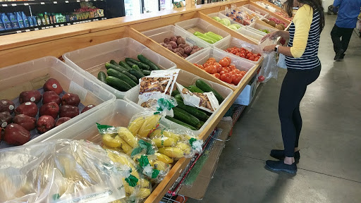 Indian Grocery Store «Ethnic Spice Indian Groceries», reviews and photos, 130 S Main St, Marlboro Township, NJ 07746, USA