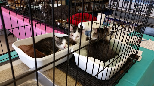 Pet Supply Store «Petco Animal Supplies», reviews and photos, 5631 Grove Blvd, Hoover, AL 35226, USA