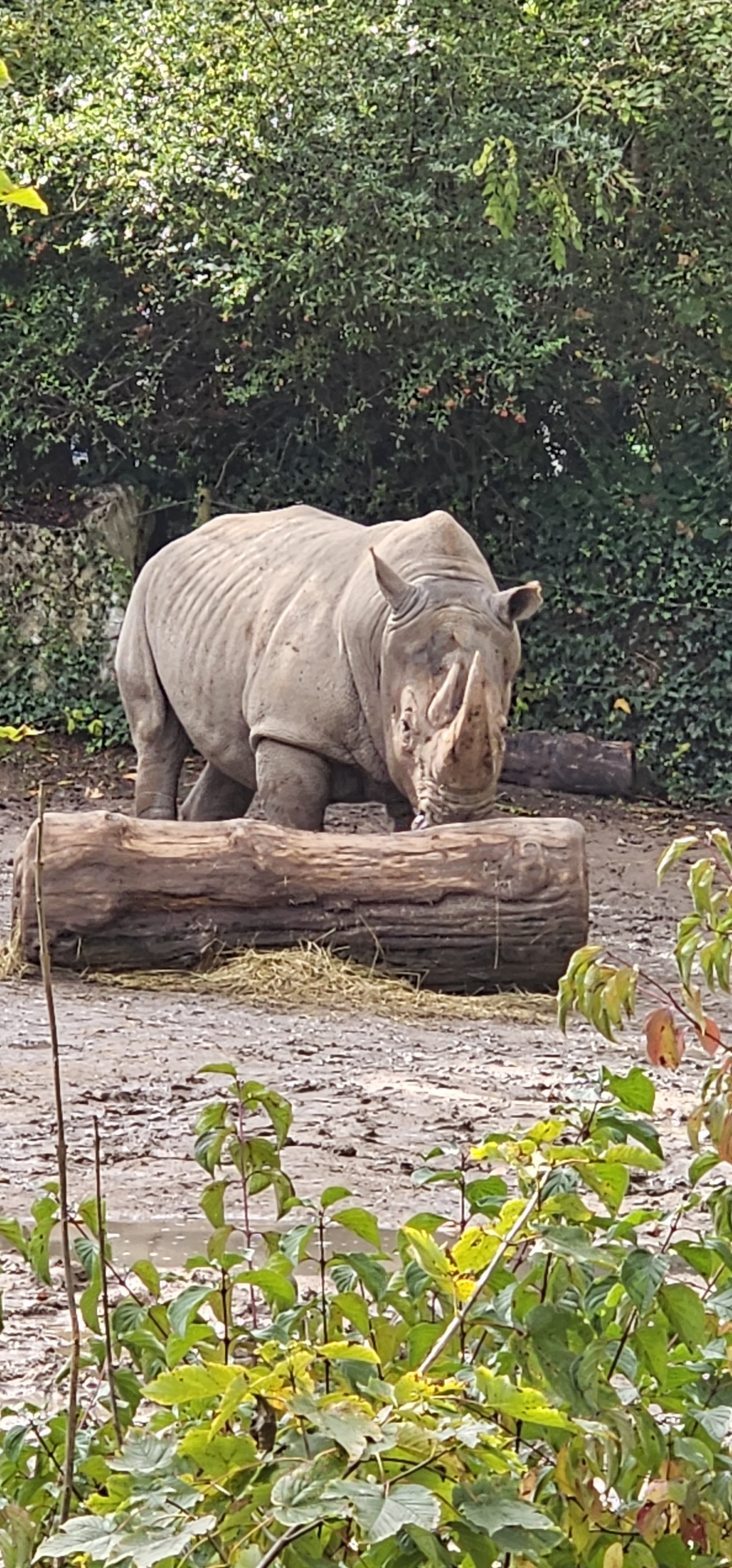 Photo n° 1 de l'avis de Sophie.e fait le 25/10/2023 à 14:25