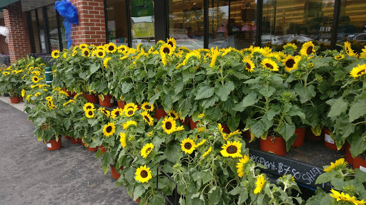 Grocery Store «Stop & Shop», reviews and photos, 250 Bellevue Ave, Newport, RI 02840, USA