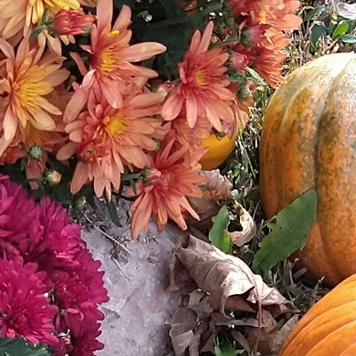 Thrift Store «Second Blessing Thrift Store Inc.», reviews and photos, 2323 Central Ave, Wichita, KS 67214, USA