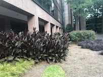 Sutlive and Associates LLC - Photo 5 - Car repair in Atlanta, GA, Sandy Springs