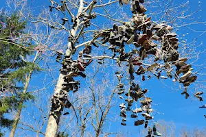 Shoe Tree image