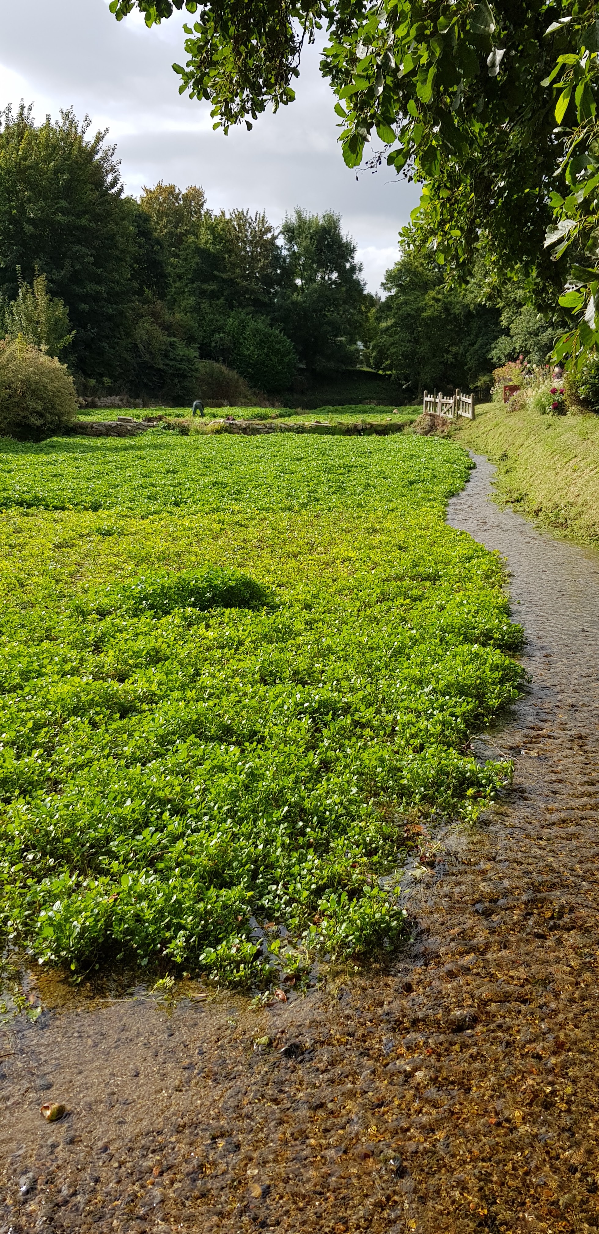 Photo n° 10 de l'avis de NATHALIE.A fait le 12/09/2019 à 13:15