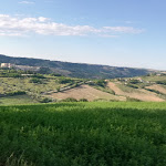 Photo n°2 de l'avis de Elena.i fait le 14/07/2019 à 11:29 sur le  Bar Ristorante Cesura à Cugnoli