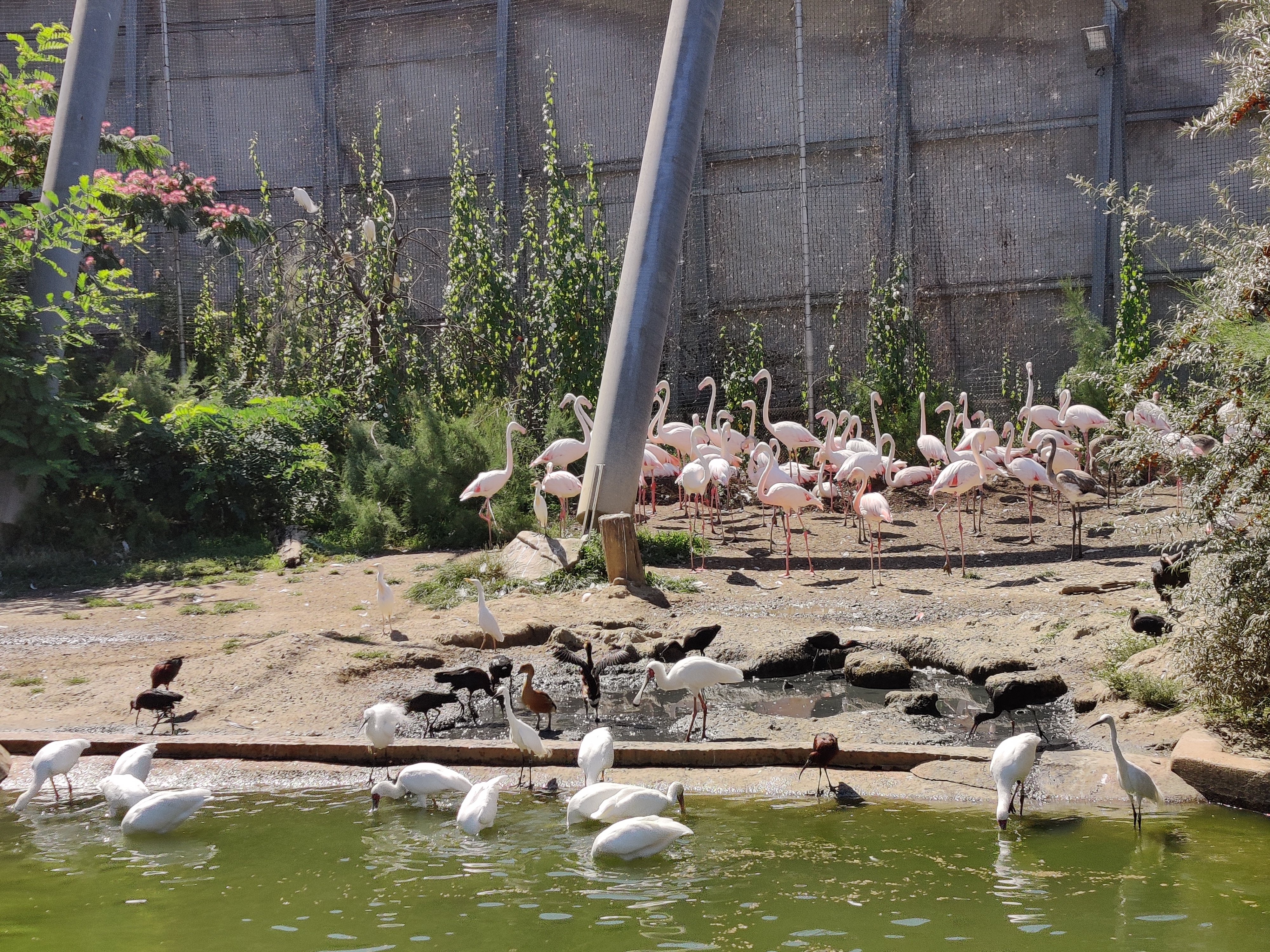 Photo n° 3 de l'avis de Francine.o fait le 18/09/2018 à 11:56