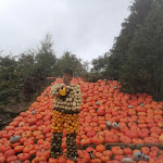 Photo n°3 de l'avis de Stefan.r fait le 11/10/2020 à 11:53 sur le  Hof Löbke GmbH & Co. KG à Ibbenbüren