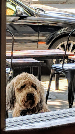 Cafe «Acre Coffee», reviews and photos, 21 4th St, Petaluma, CA 94952, USA