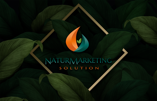 Hozzászólások és értékelések az NaturMarketing Solution Kft.-ról