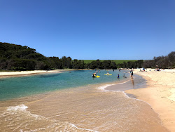 Handkerchief Beach'in fotoğrafı çok temiz temizlik seviyesi ile