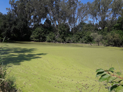 Nature Preserve «Hawthorne Hill Nature Center», reviews and photos, 28 Brookside Dr, Elgin, IL 60123, USA
