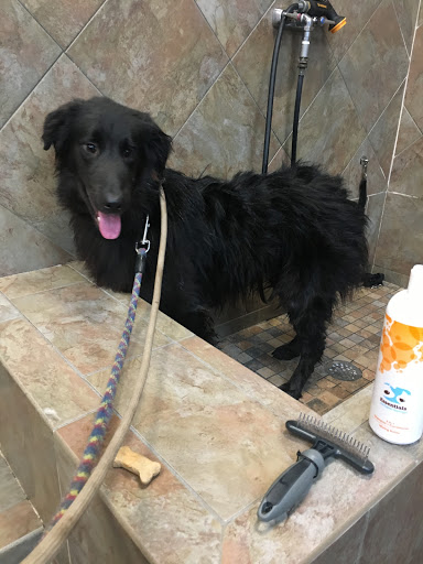 Pet Store «Pet Valu», reviews and photos, 2660 Egypt Rd, Norristown, PA 19403, USA