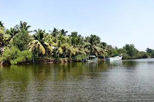 Sharavati Backwater Boat Ride image