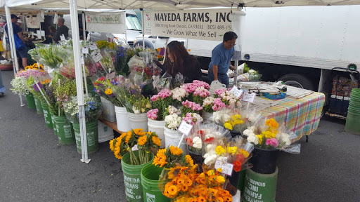 City Hall «Beverly Hills City Hall», reviews and photos