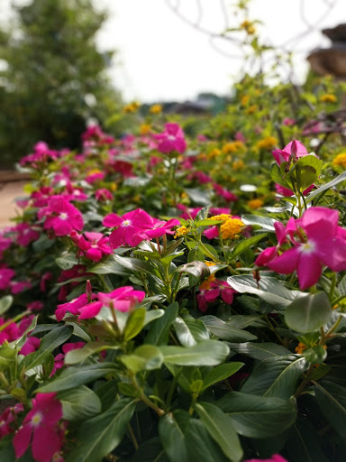 Park «Heritage Park», reviews and photos, 99 Lake Dow Rd, McDonough, GA 30252, USA