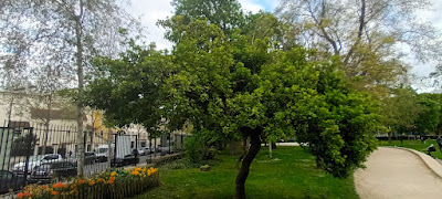 École Victor Hugo à Aubervilliers