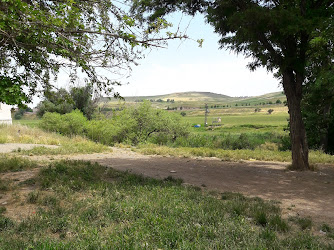 Şeyh Güzel Türbesi