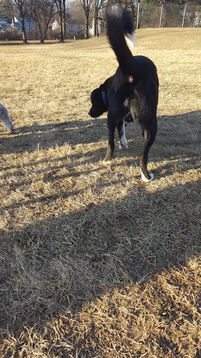 Park «Teegarden Park», reviews and photos, 440 Old State Rd, Berwyn, PA 19312, USA