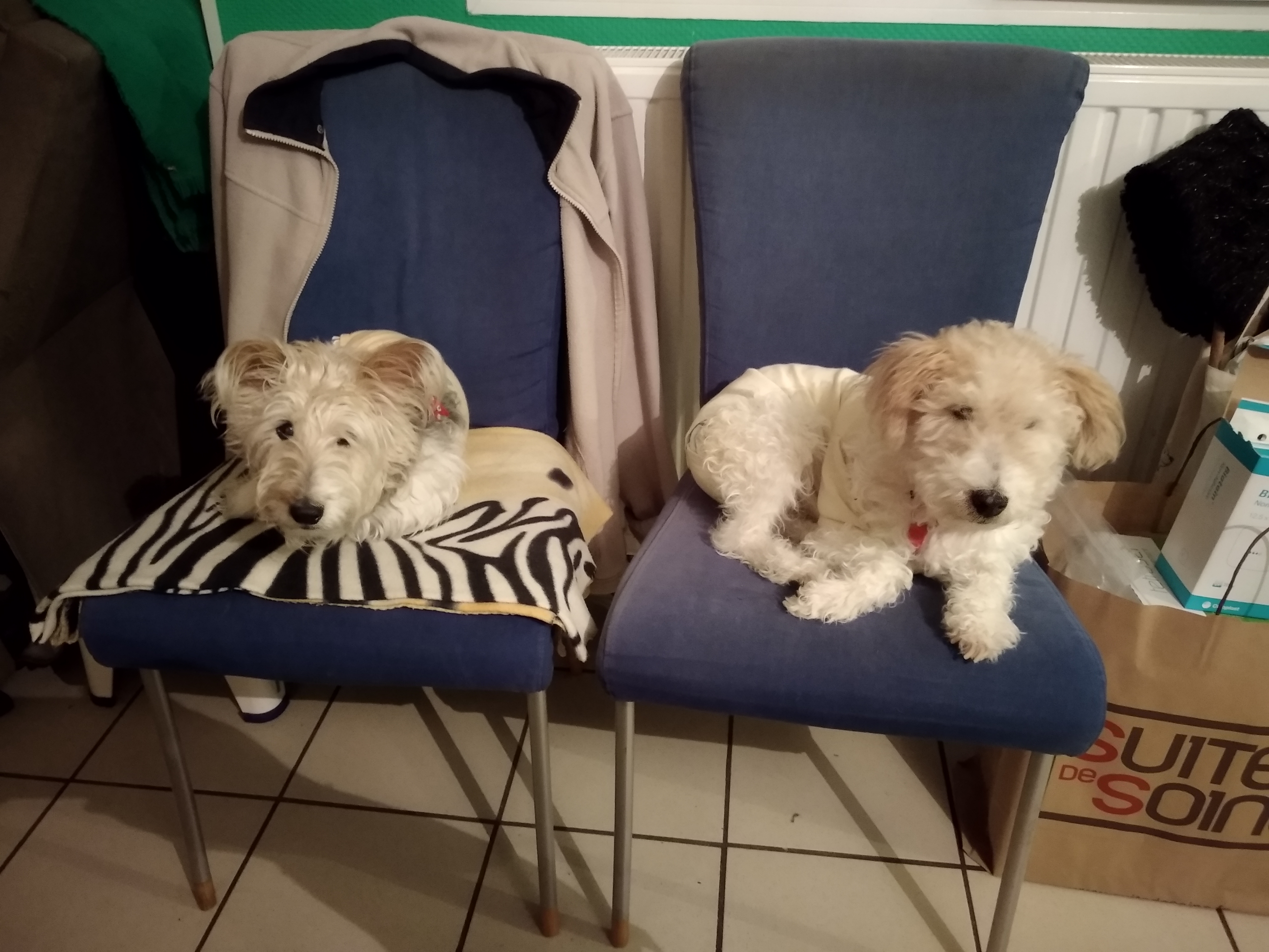 Photo n° 12 de l'avis de Marie-claude.l fait le 03/03/2017 à 14:46